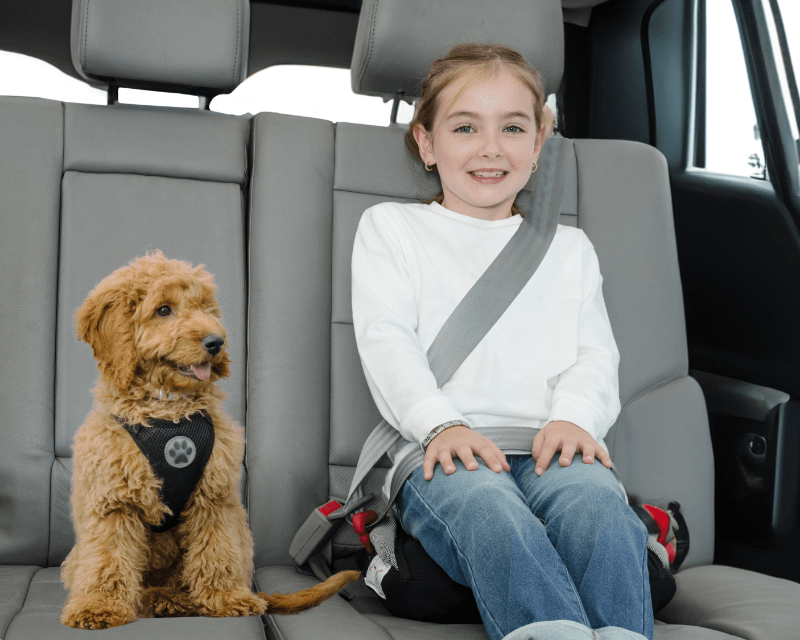 High-Back vs. Backless Booster Seats: Which Is Safer (and When)?