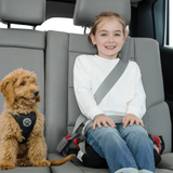 BubbleBum Inflatable Car Booster Seat - Travel Booster Seat - Pink Style