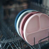 Divided Suction Plate